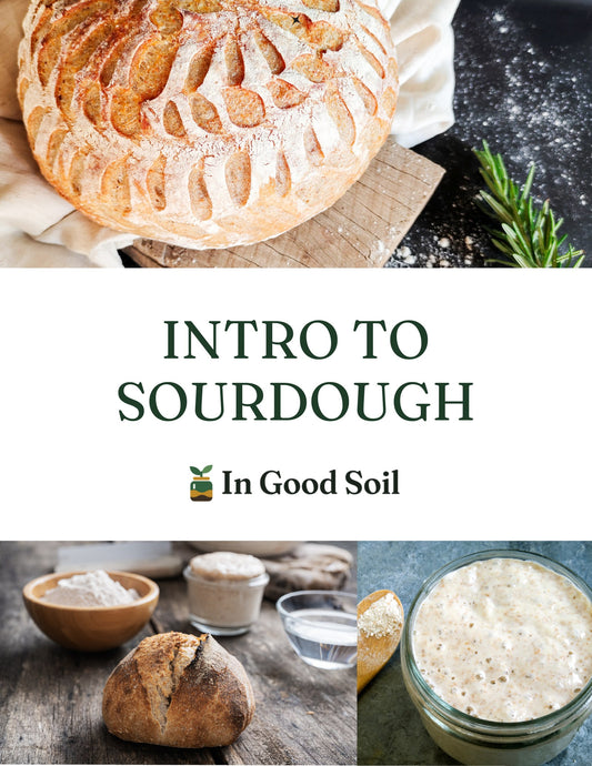 Intro to Sourdough E-Book